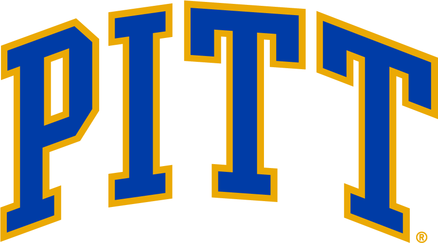 Pittsburgh Panthers 1966-1973 Alternate Logo diy iron on heat transfer